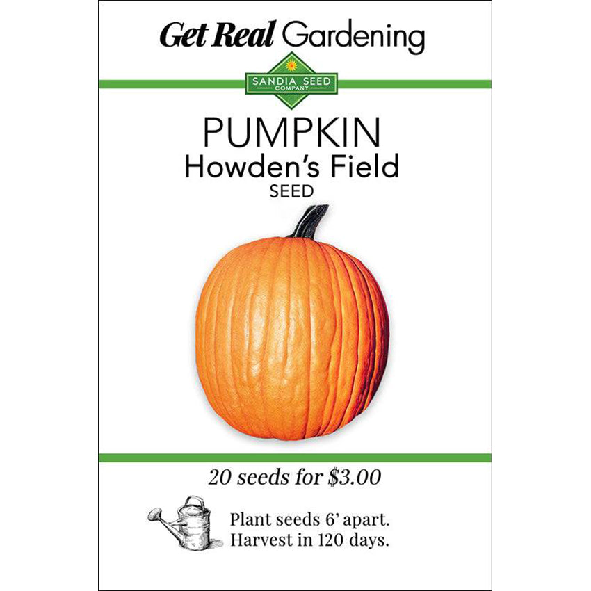 Pumpkin - Howden's Field Heirloom Seeds - Perfect for Halloween Carving