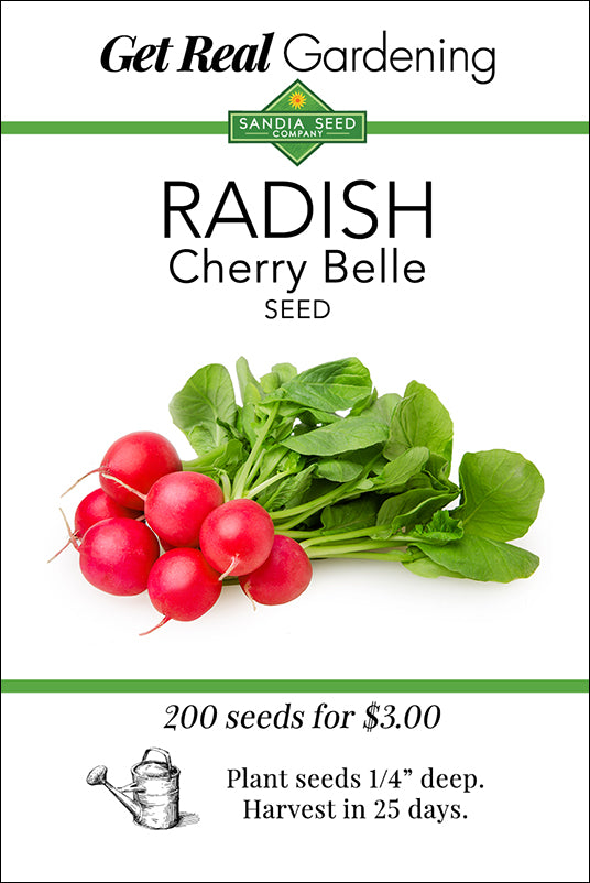 Radish - Cherry Belle Seeds