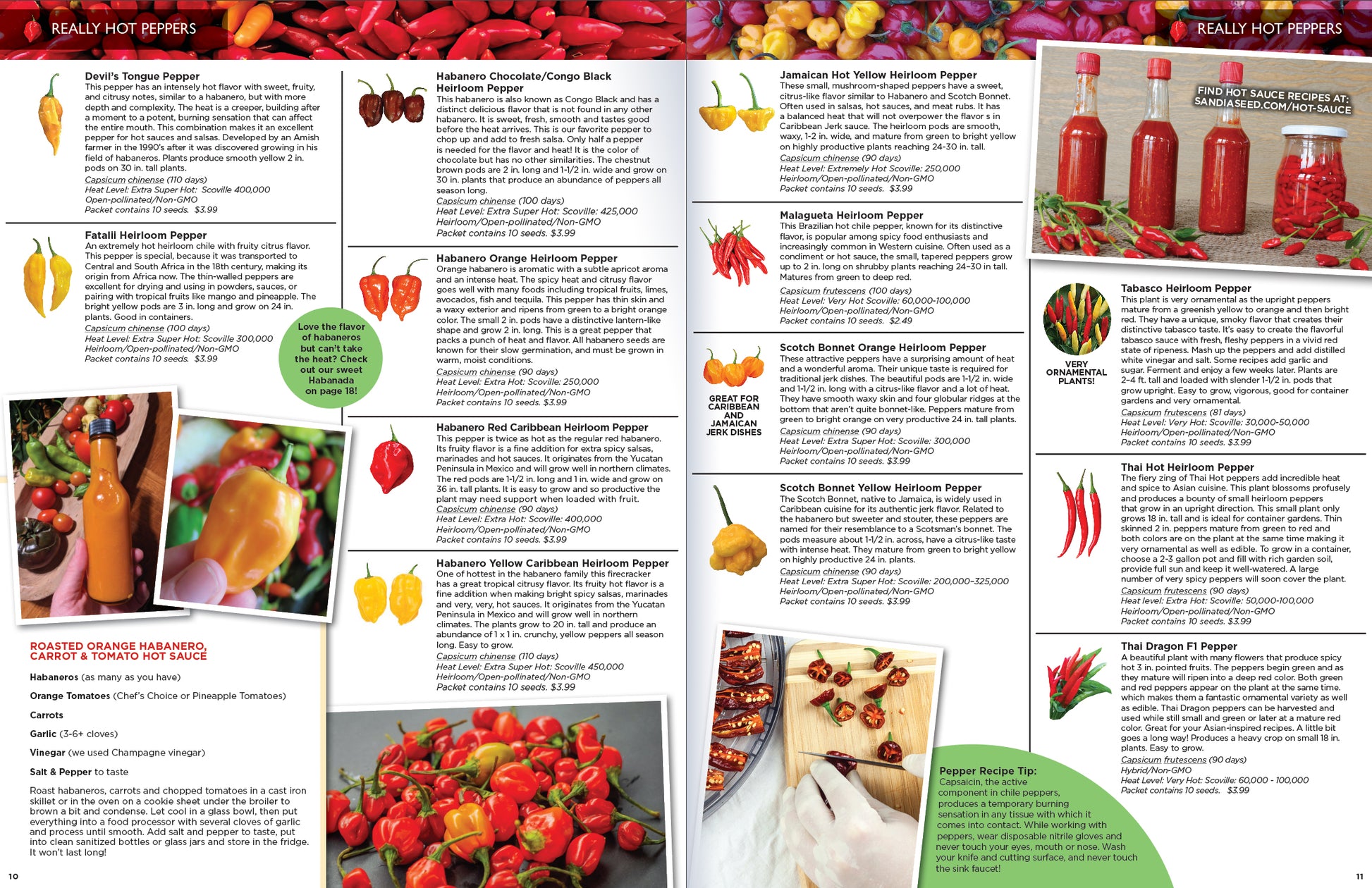 2026 Seed Catalog with Peppers of the World from Sandia Seed- Really Hot Peppers Spread