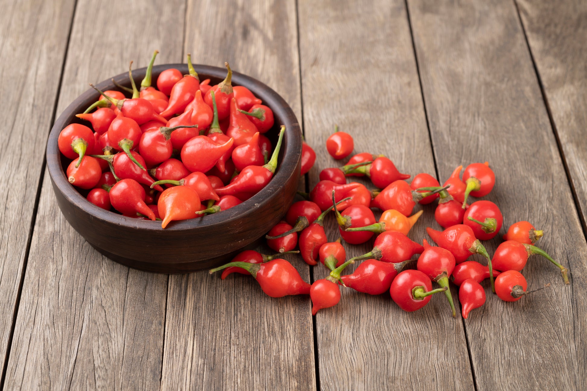 Fully ripe Orange-Red Biquinho Peppers