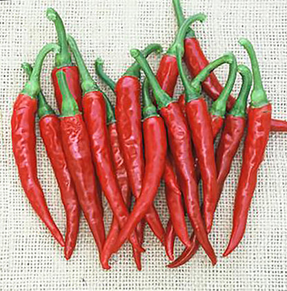 Cayenne Ring of Fire Pepper Seeds