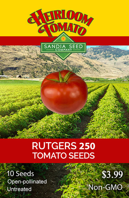 Seed packet design for Heirloom Tomato 'Rutgers 250' seeds by Sandia Seed Company, showing a large red tomato over a tomato field background with yellow and red branding panels.