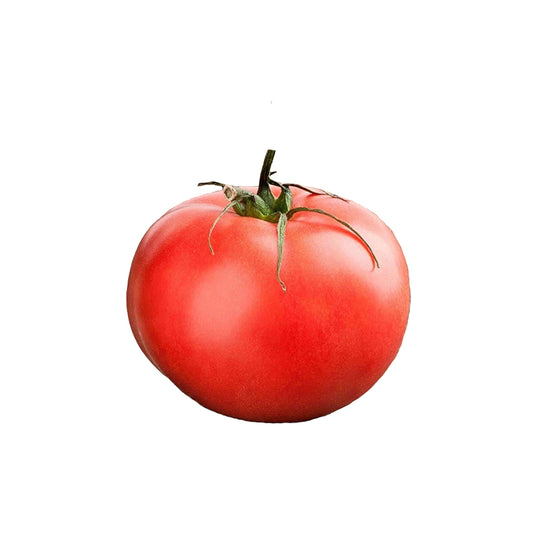 Rutgers VF Tomato with smooth red skin, known for heirloom quality, great taste, and disease resistance, ideal for home garden seed buyers.