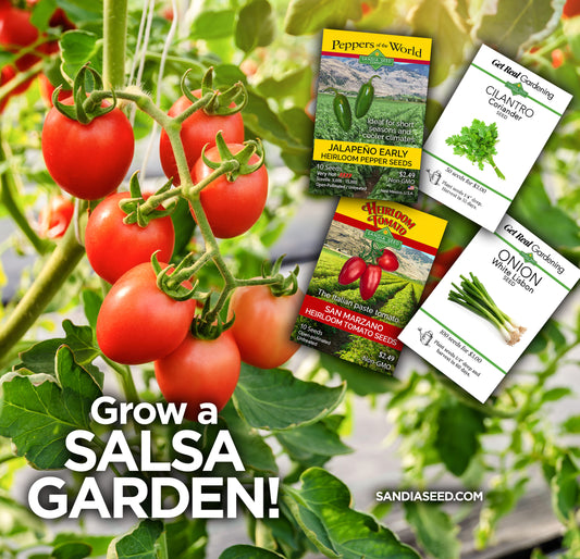 Salsa Starter Garden 4-Pack - Jalapeño, Tomato, Onion, and Cilantro Seeds - 15% Off