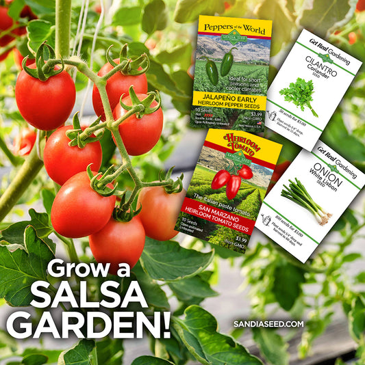 Salsa Seeds Starter Garden - 4-Pack Discount Sale - Jalapeño, Tomato, Onion, and Cilantro Seeds