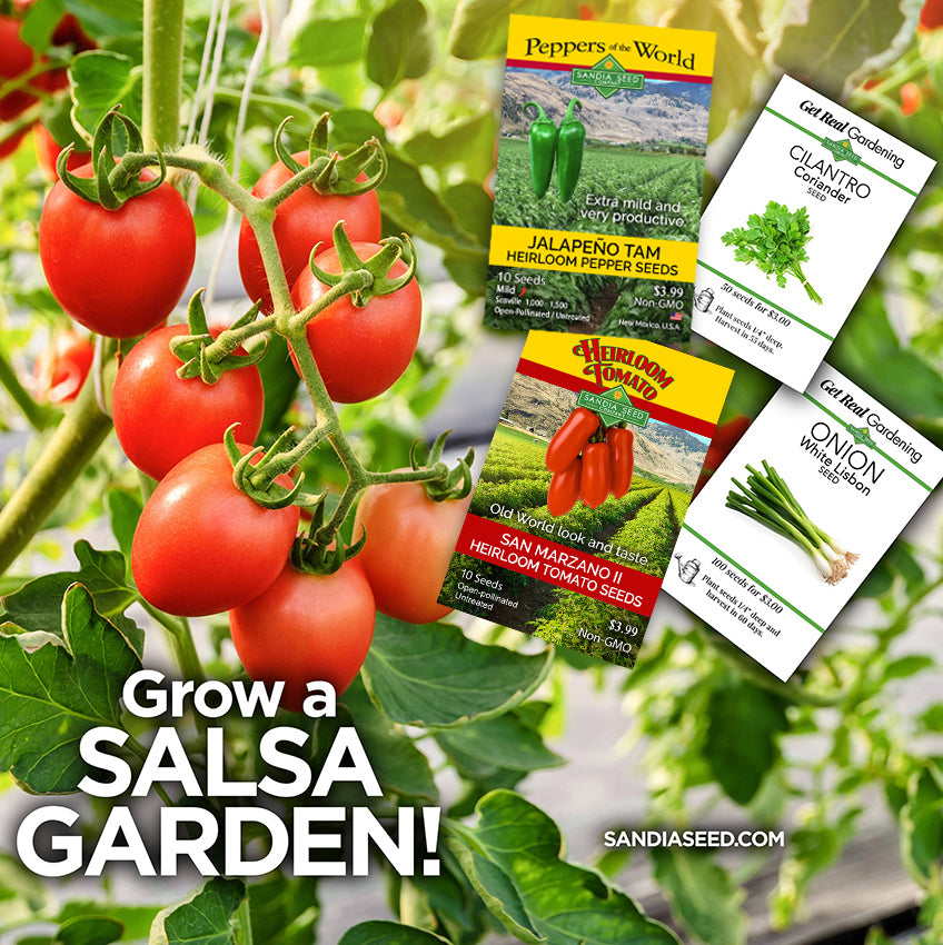 A promotional collage for Sandi's Seed 'Grow a Salsa Garden!' featuring ripe red tomatoes on the vine, three illustrated seed packets (Jalapeño Tam, Guanto Clavo, and Onion White), and large text reading 'Grow a SALSA GARDEN!' over a garden background.