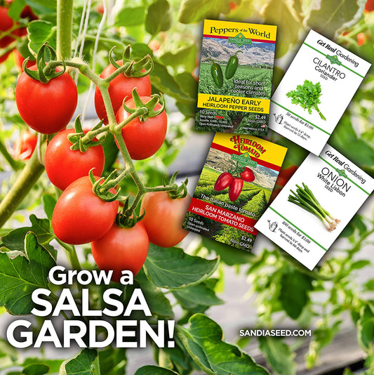 Salsa Seeds Starter Garden - 4-Pack Discount Sale - Jalapeño, Tomato, Onion, and Cilantro Seeds