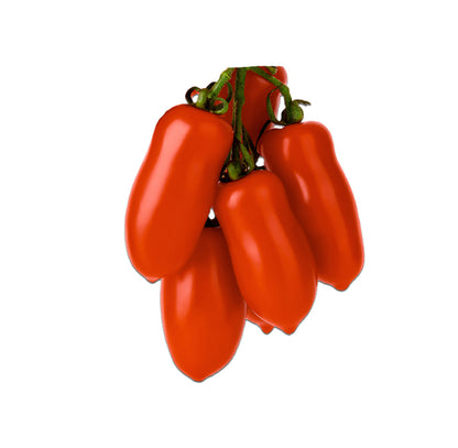 A cluster of glossy red bell peppers on a green stem, isolated on a solid white background.