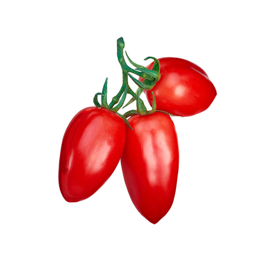 San Marzano Roma Tomato Seeds - Perfect for Canning - A Vigorous Heirloom