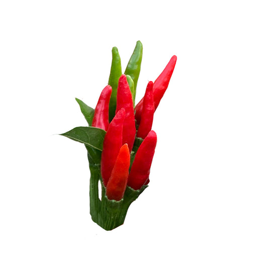 Santaka Heirloom Japanese Pepper 10 Seeds - Very Spicy