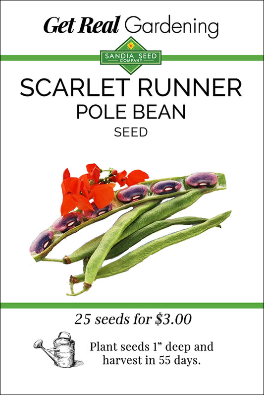 Bean - Scarlet Runner Pole Bean Seeds