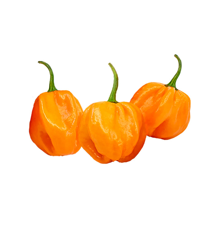 Chef's Exotic Flavor 3-Pack: Aji Limo/Lemon Drop, Chile de Arbol and Scotch Bonnet Orange Seeds - 15% Off