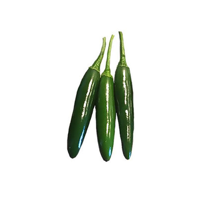 Three fresh green Serrano Hidalgo peppers, known for their hot Mexican flavor, ideal for salsa and pickling recipes.