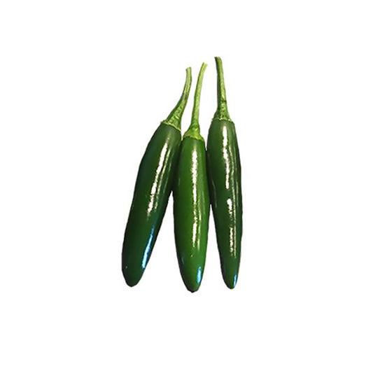 Three fresh green Serrano Hidalgo peppers, known for their hot Mexican flavor, ideal for salsa and pickling recipes.