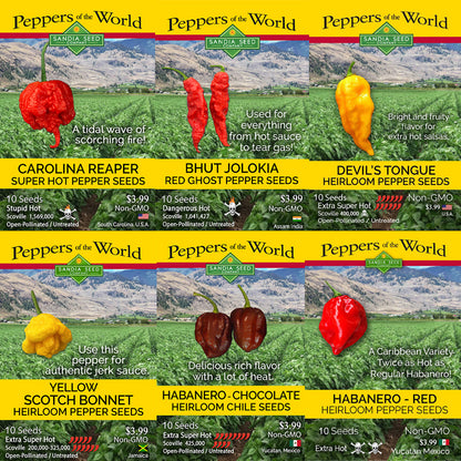 Sizzling Hot Peppers Seeds - 6-Pack Discount Sale - Taste the Super Hot Spiciness!