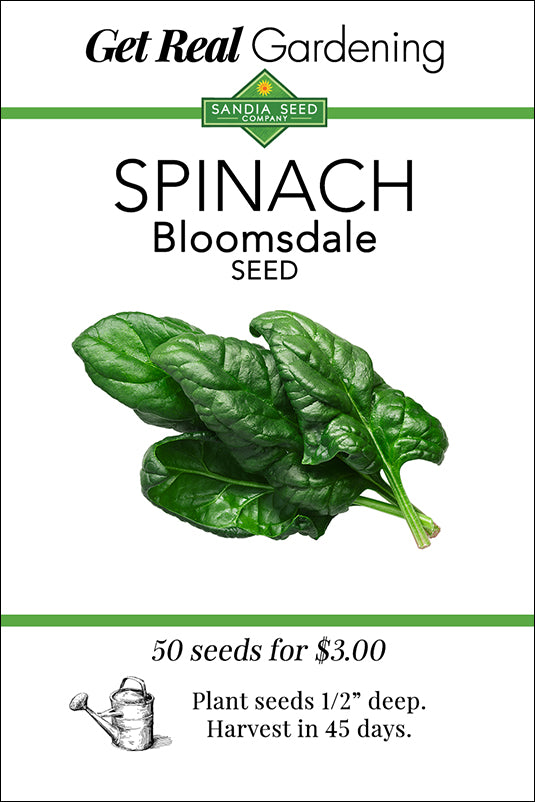 Spinach - Bloomsdale Seeds