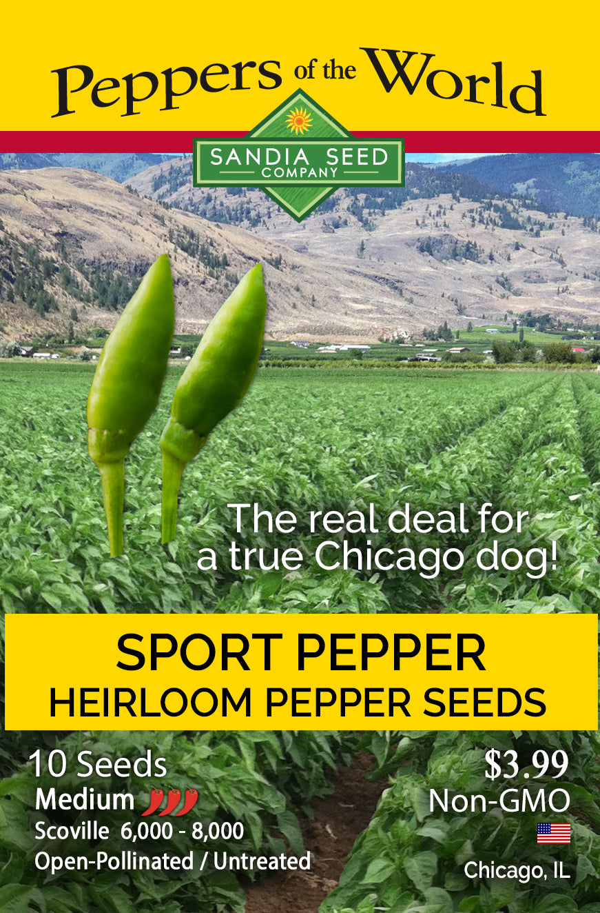 Seed packet design for Sandia Seed Company Sport Pepper heirloom pepper seeds, featuring a yellow header and footer, a mountain-and-field background, two green pepper illustrations, and product text including '10 Seeds', 'Medium', and '$3.99'.