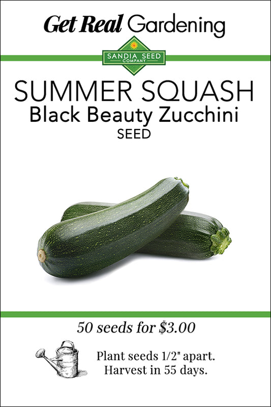 Squash -  Summer - Black Beauty Zucchini Seeds