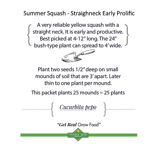 corn seed planting guide Three Sisters Garden Seeds - Companion Trio