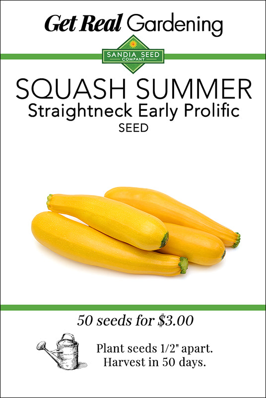 Squash - Summer - Early Prolific Straightneck Seeds