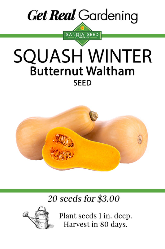 Sandia Seed Company squash winter butternut Waltham seed packet with images of whole and cut butternut squash, green and white design