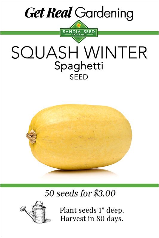 Squash - Winter - Spaghetti Seeds