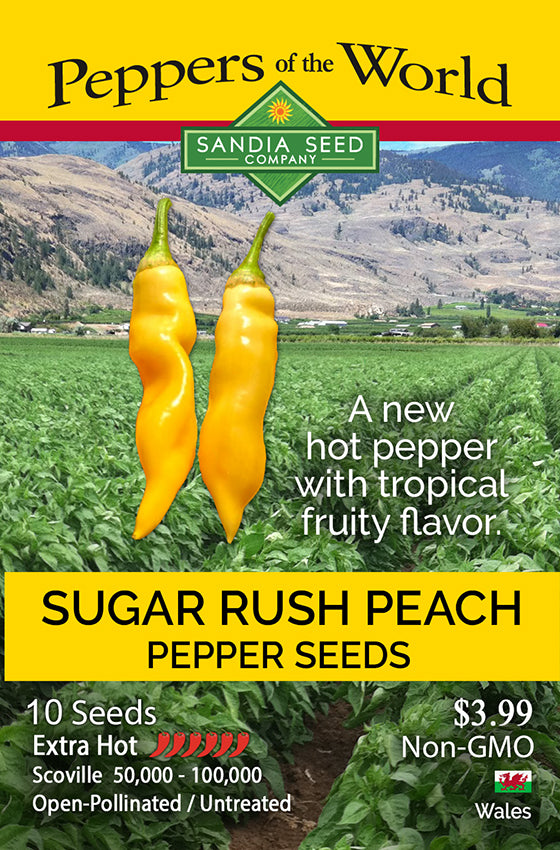 A promotional label for Sandia Seed Company 'Sugar Rush Peach' pepper seeds, featuring two yellow-orange peppers over a green pepper field with mountains in the background. Text highlights tropical flavor, 10 seeds, extra hot, non-GMO, and open-pollinated.