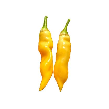 Two long, curved yellow chili peppers with green stems, shown vertically against a plain white background.