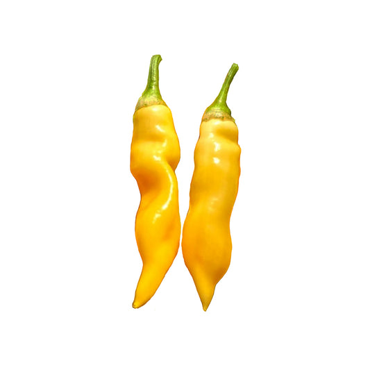 Two long, curved yellow chili peppers with green stems, shown vertically against a plain white background.