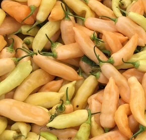 A close-up pile of small bell peppers in pale yellow, peach, and light orange tones with green stems visible.