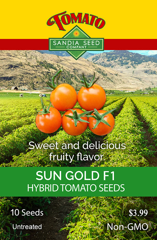 Popular cherry tomato Sun Gold Tomato Packet Front sweet and delicious