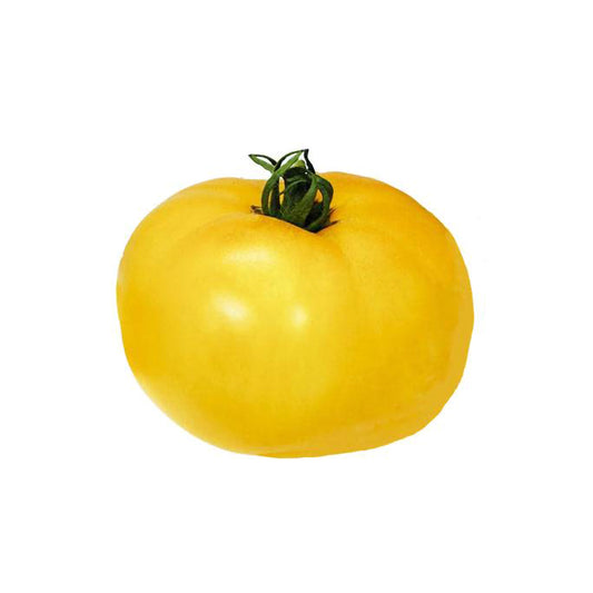 Sunny Boy F1 Tomato Seeds - Bright Yellow - Sweet and Tangy