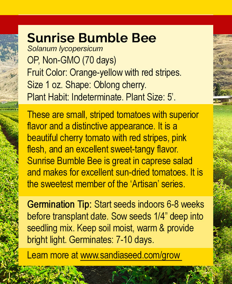 Back of Sunrise Bumble Bee Tomato Seeds packet detailing planting instructions, fruit description, and growth habits for home gardeners.