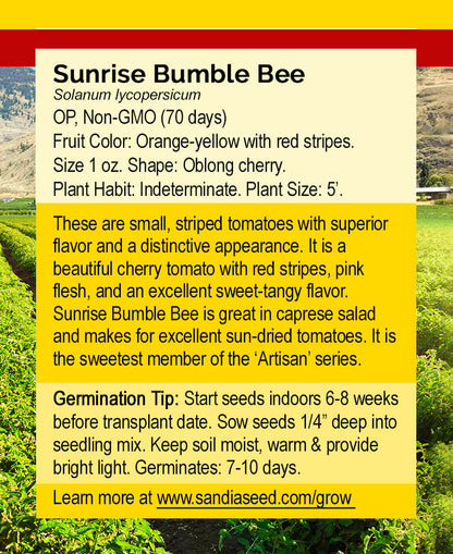 Back of Sunrise Bumble Bee Tomato Seeds packet detailing planting instructions, fruit description, and growth habits for home gardeners.