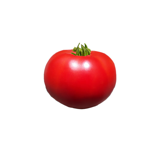 Red Super Sioux heirloom tomato on a white background