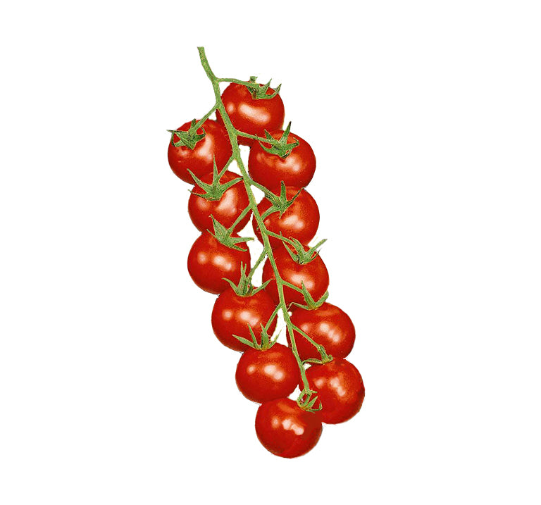 Super Sweet 100 tomato cluster vine bite size sweet cherry