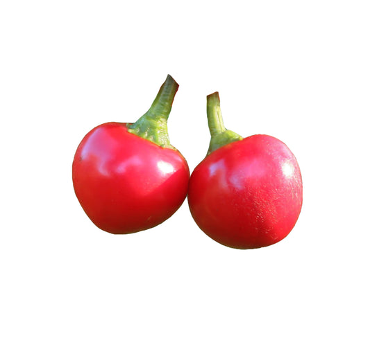 Two red sweet cherry peppers with green stems on a white background