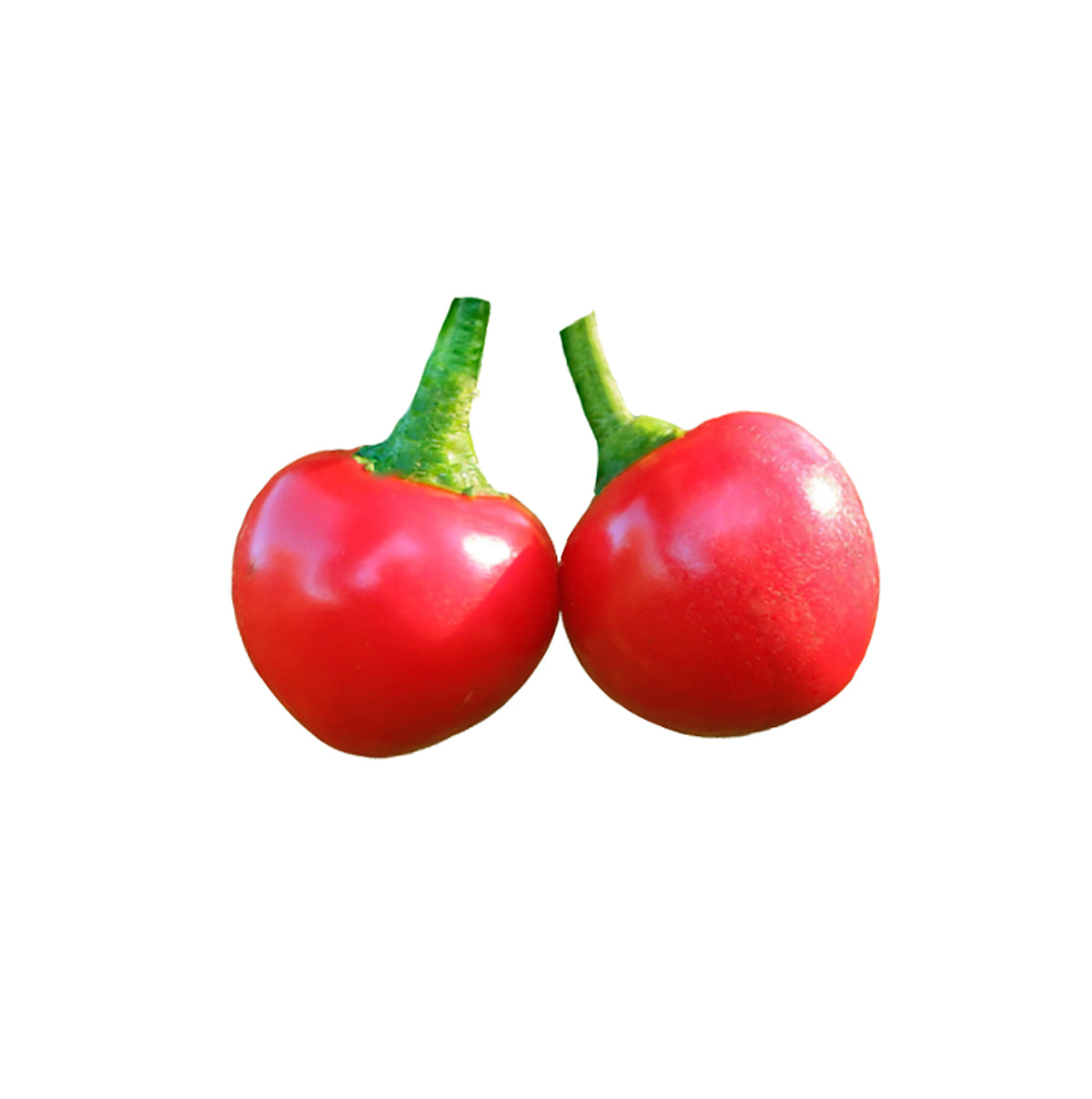 Sweet Red Cherry Pepper Seeds - Delicious Red Heirloom Variety - Compact Plants