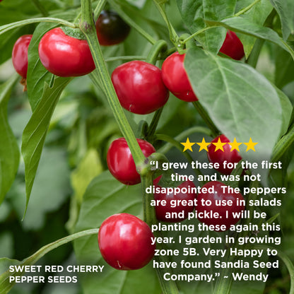 I grew these for the first time and was not disappointed. The peppers are great to use in salads and pickle. I will be planting these again this year. I garden in growing zone 5B. Very Happy to have found Sandia Seed company - Wendy

Photo: Sweet red cherry pepper seeds growing on a plant with bright red cherries and green leaves, with a customer review quote and star rating overlaid on the right side.