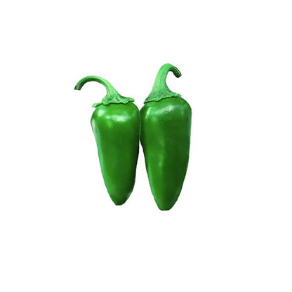 Jalapeño TAM Seeds - Mild Heat and Disease Resistant - ON SALE