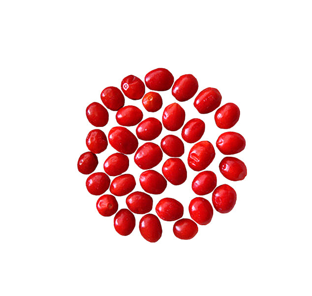 Small red Tepin peppers in a circle on white background