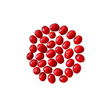 Small red Tepin peppers in a circle on white background