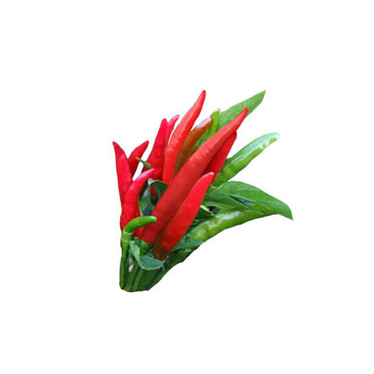 Thai Dragon F1 Pepper Seeds - Hot Peppers - Easy to Grow