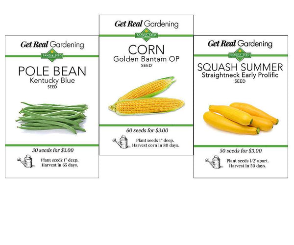Trio Java Seed Three Sisters Garden Seeds - Companion Trio - Corn, Bean, Squash ...