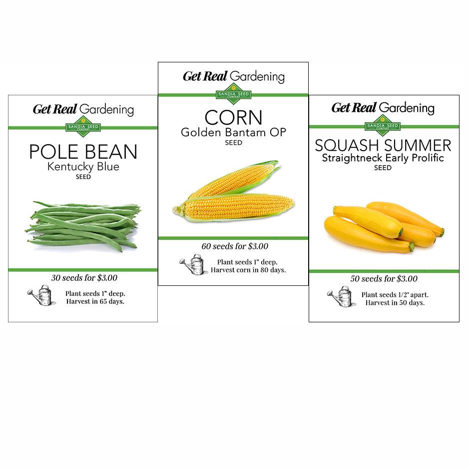 types of seeds for planting Three Sisters Garden 3-Pack: Corn, Pole Bean and Squash Seeds