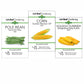 Three Sisters Garden 3-Pack: Corn, Pole Bean and Squash Seeds - 15% Off