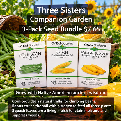Three Sisters Companion Garden - 3-Pack Discount Sale - Corn, Pole Bean and Squash Seeds
