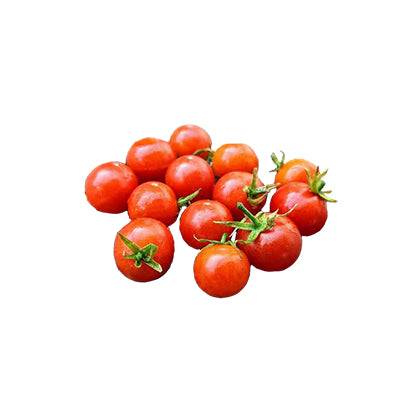 miniature tomato plant seeds Tiny Tim Tomato Seeds