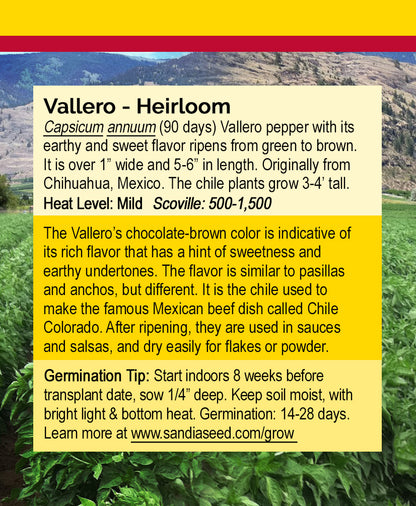 Vallero Pepper Seeds - Rich Flavor and Mild Heat from Mexico