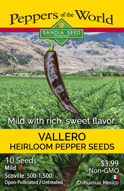 Seed packet design for Sandia Seed Company Vallero Heirloom Pepper Seeds, showing a large dark chili pepper over a green pepper field with mountains in the background, plus flavor and planting text.